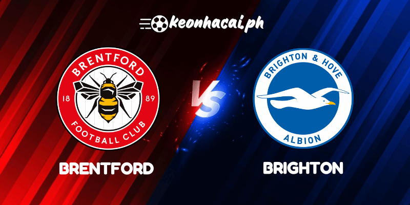 Brentford vs Brighton